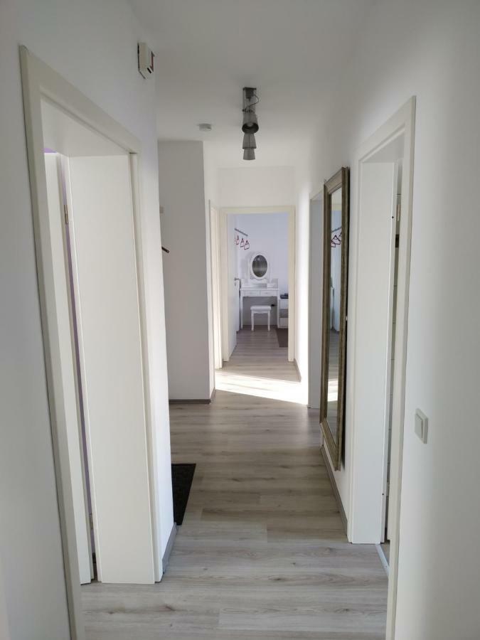 Geraeumige 4 Zimmer Wohnung An Den Kaiserthermen ترير المظهر الخارجي الصورة